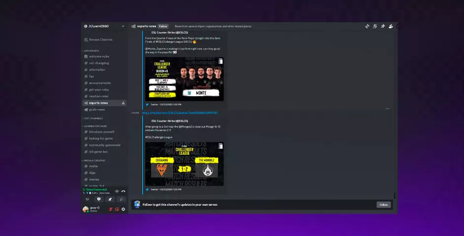 llearnCSGO-Discord-Server