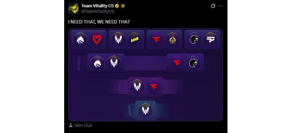 TeamVitalityCS-x-3
