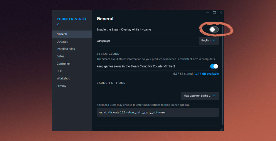 Steam-Overlay