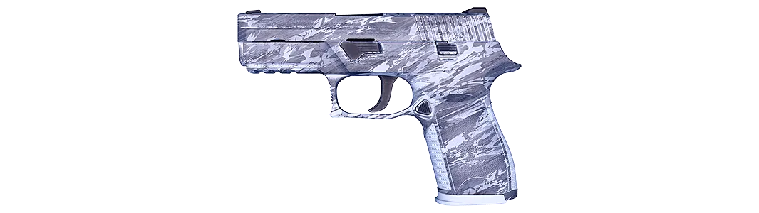 P250 | Sleet
