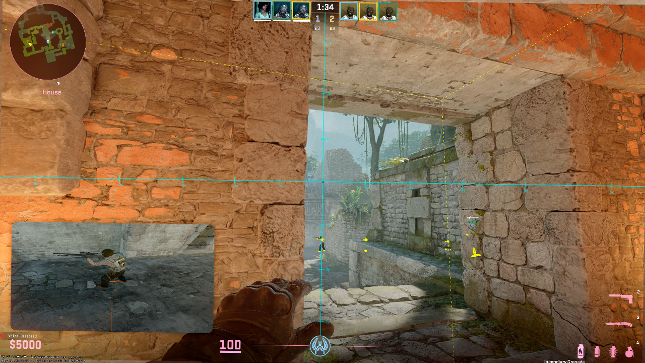 How to Use Wallhack for Practice