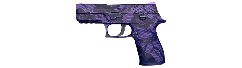 P250 绛络